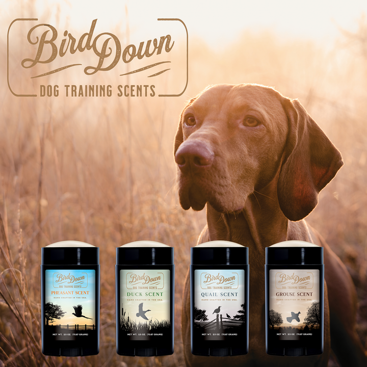 BirdDown Quail Scent Stick