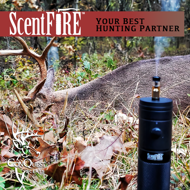 ScentFire Cartridges - VS-1