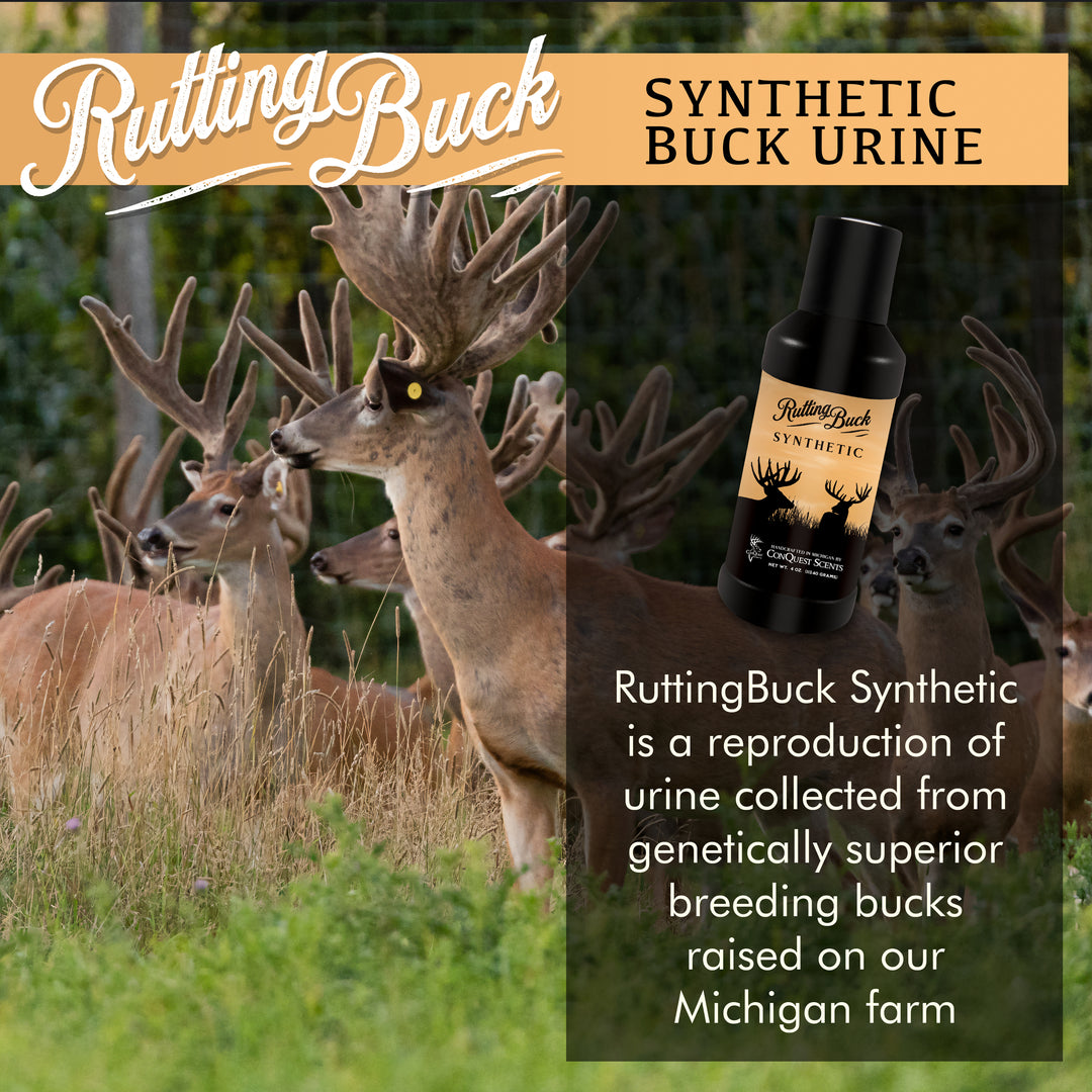 SYNTHETIC RuttingBuck Liquid