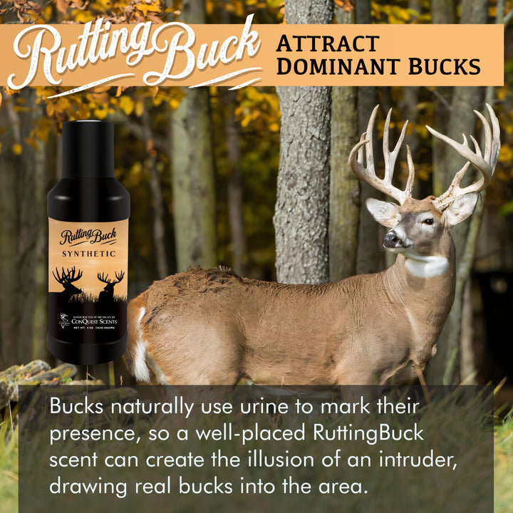 SYNTHETIC RuttingBuck Liquid